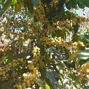 Meet your Posher, Odilio